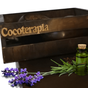 Taller Online Cocoterapia Cuerpo Completo