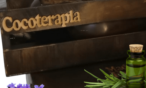 Taller Online Cocoterapia Cuerpo Completo